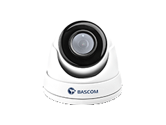 Powerline dome camera Powerline dome camera